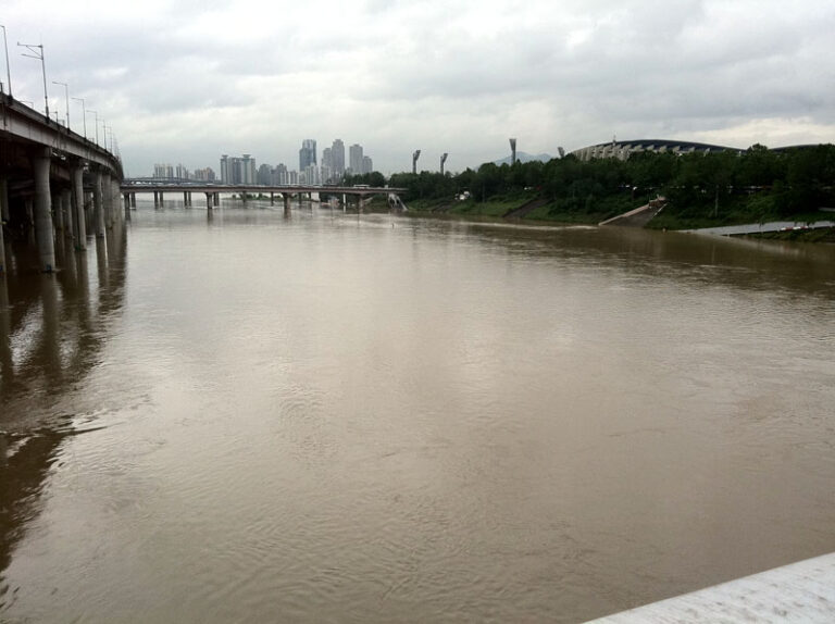 장마 – 탄천주차장