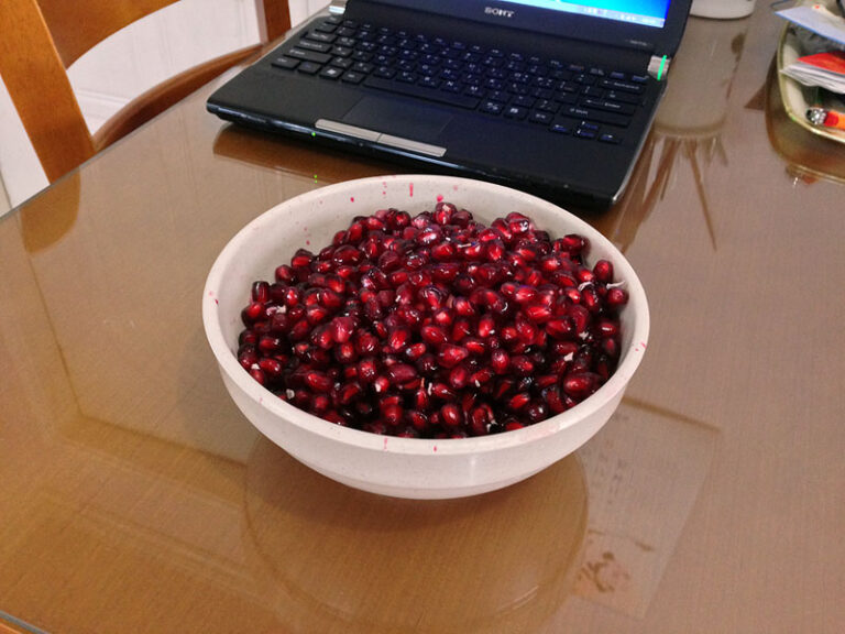 요즘 가장 최애 과일 – 석류