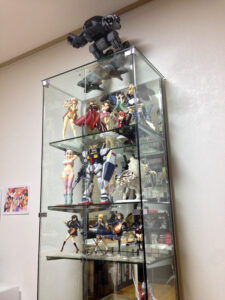 3P Case 피규어장식장 비바체 구입