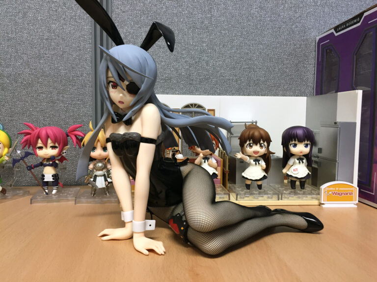 인피니트 스트라토스 – 프링 1/4 라우라 보디비히 바니걸