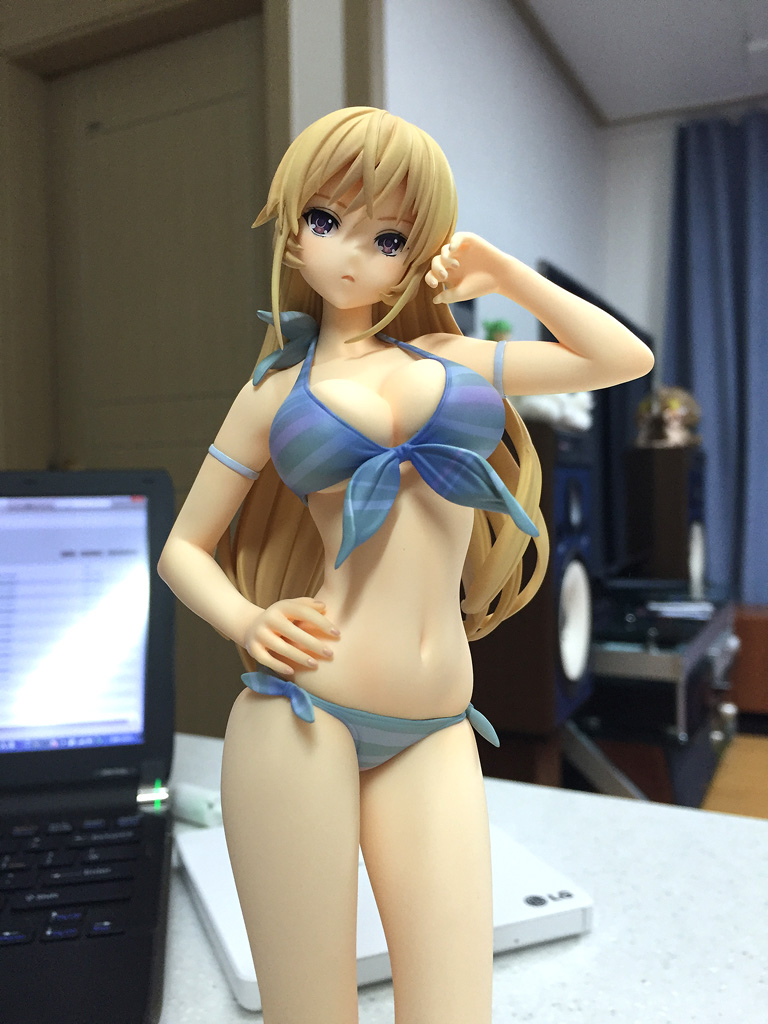 식극의 소마 – 알파맥스 1/7 나키리 에리나 수영복