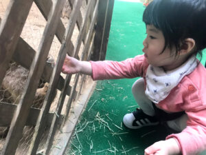 정환이네 방문 – 조카 사진