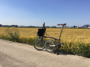 [2018/10/03] 근황 – 가을산책