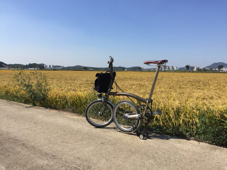 [2018/10/03] 근황 – 가을산책