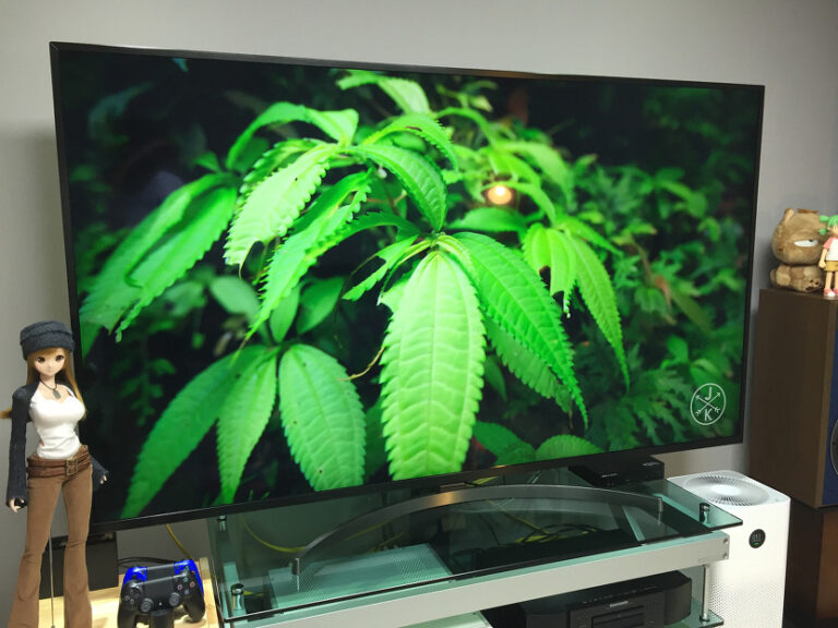 TV – LG 75SK8070PUA 직구