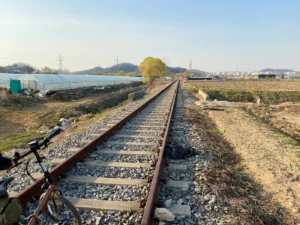 근황 – 코로나 중 봄날