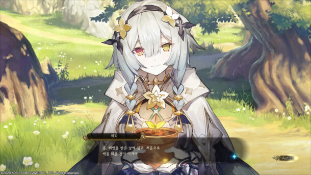 NS 젤다의 전설 : 꿈꾸는 섬 후기