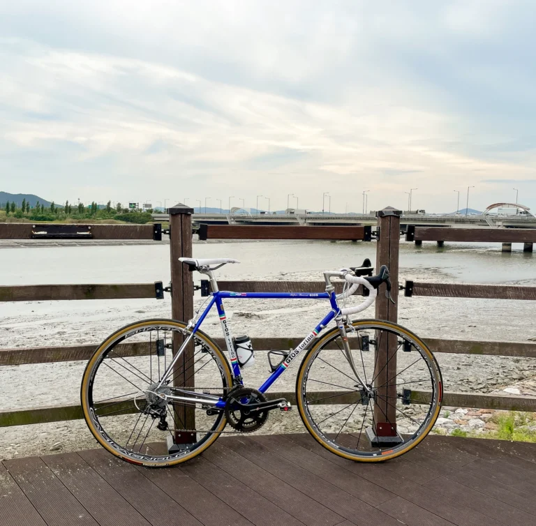 연차 내고 가을 라이딩