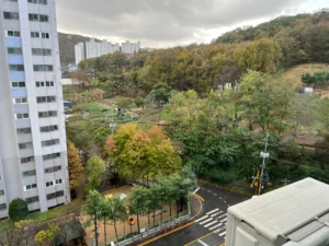 가을 끝자락 연차 그리고 잡담