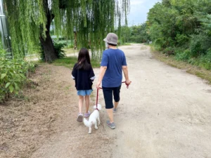 지겨웠던 2024년 여름, 추석외