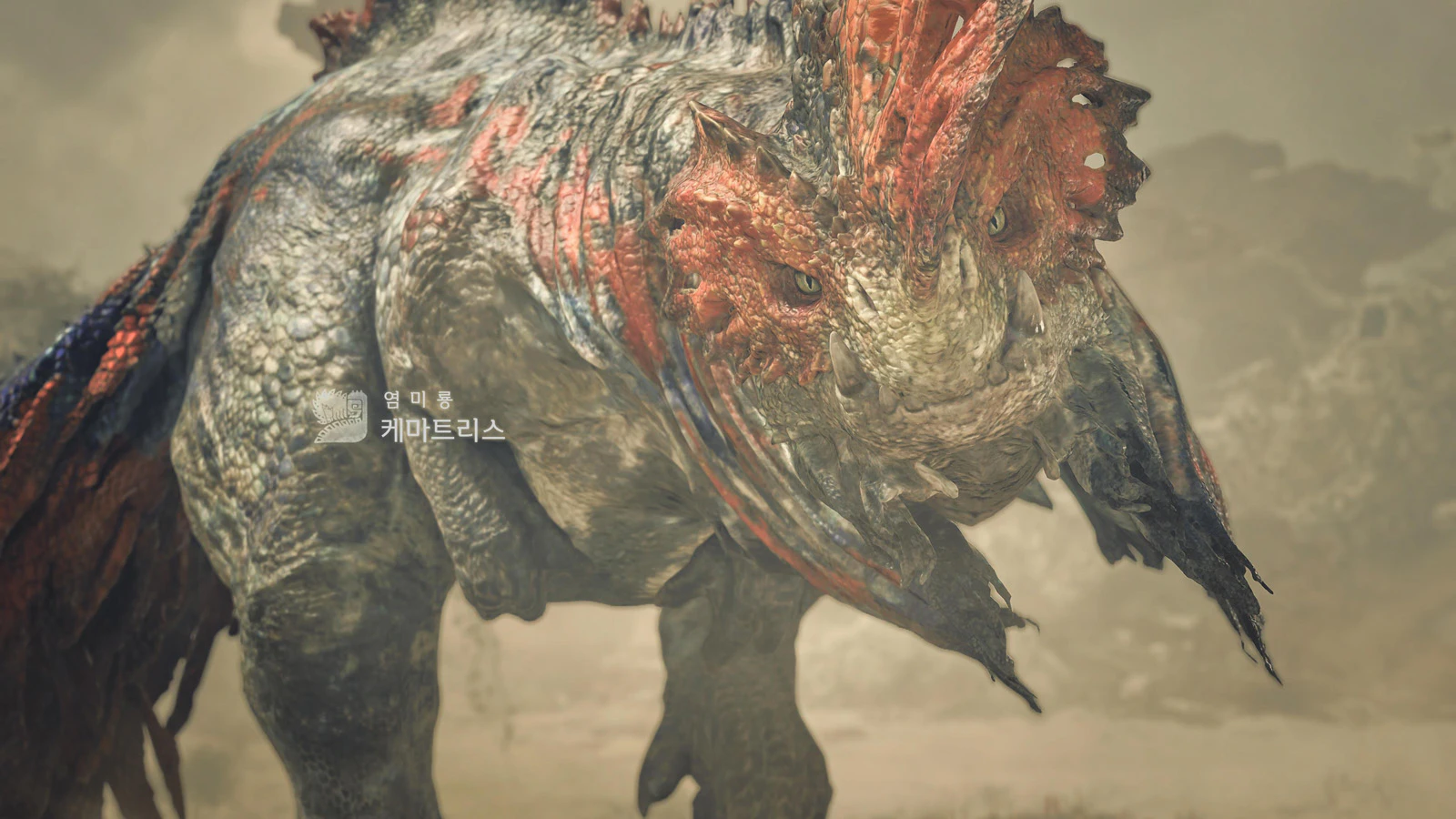 처음 만난 케마트리스