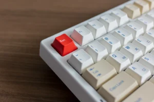 씽크웨이 TV88 텐키리스 – 카일 딥씨 축