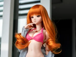 의상 업데이트 : 프리덤 비키니, 니트, 신발