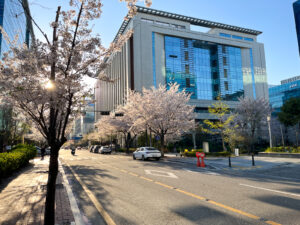 근황 – 오랜만에 몸살, 그외